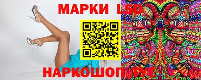 Альфа ПВП Ставрополь