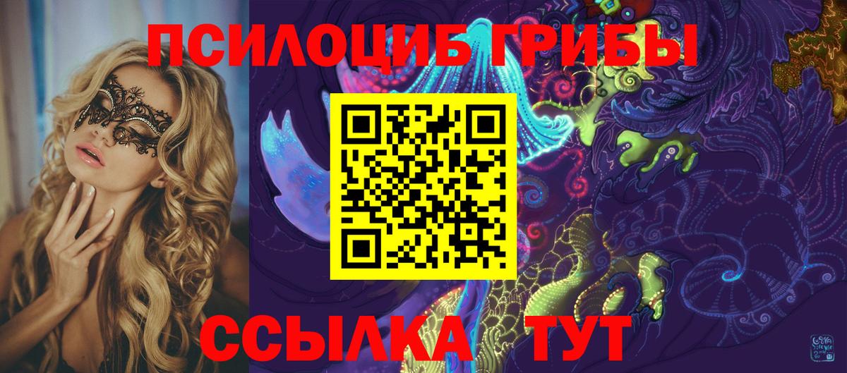Псилоцибиновые грибы мицелий Армавир